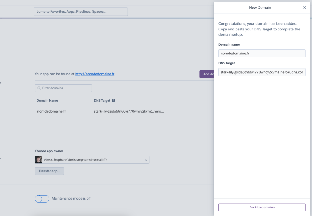 dns target heroku